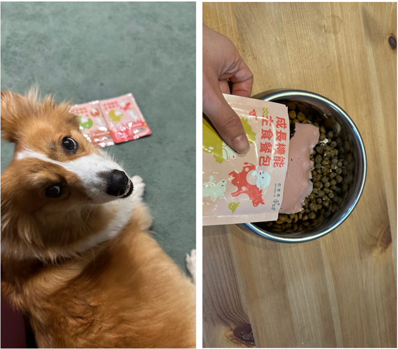 女人知己試用大隊,口碑行銷,部落客行銷,自然食 成長機能主食餐包,自然食,成長機能狗狗主食餐包,成長機能貓咪主食餐包,滿足毛孩最單純的幸福,人食等級食材,開封即食,綿密的肉泥狀質地,好吸收,無膠類,無色素,無防腐劑的添,維持腸道健康,添加DHA/靈芝多醣體,使用高優質蛋白,適口性佳,狗狗口味,犬用營養火雞,犬用嫩雞牛肉,貓咪口味,貓用營養嫩雞,貓用嫩雞鮪魚